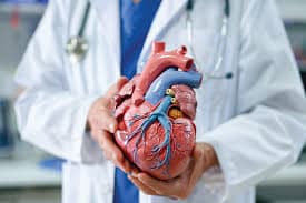 Advanced Epilepsy Care: Expertise of Leading Neurologists 